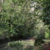 Backtracking Around Plymouth, Tavistock South & Launceston - Image 7